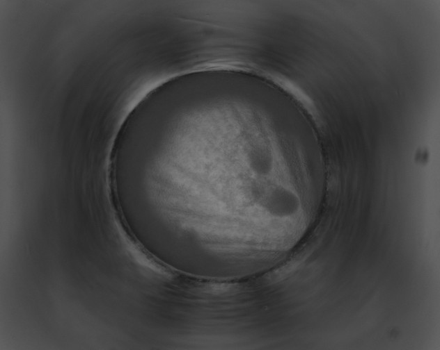 X0000091481423200708301904