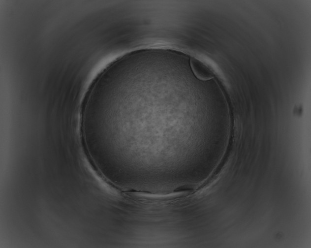 X0000091481424200708301904