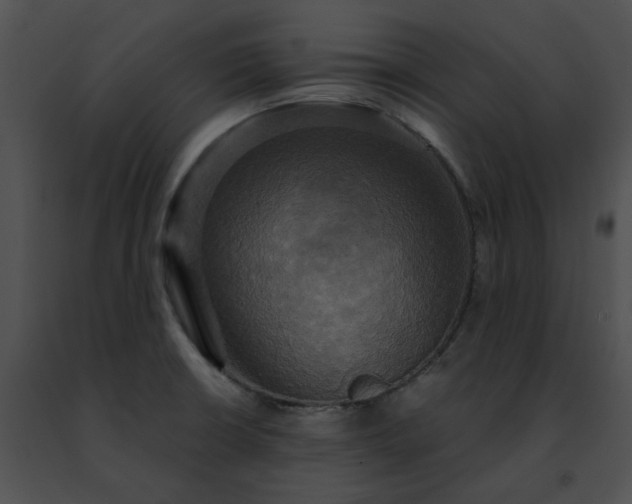 X0000091481426200708301905