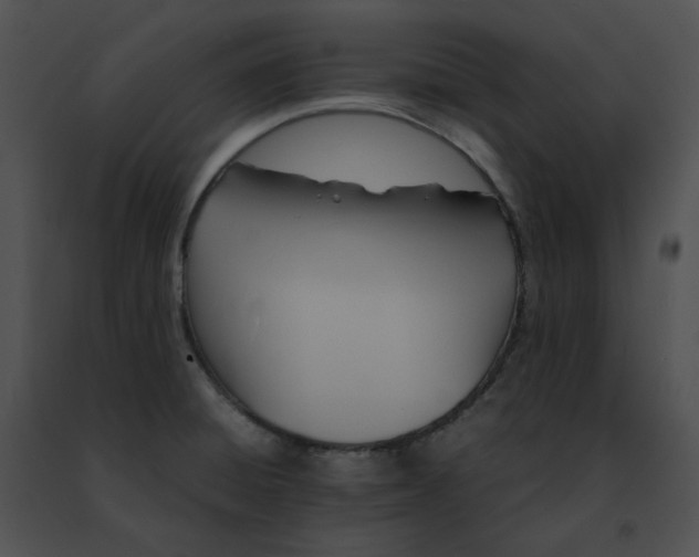 X0000091481428200708301905