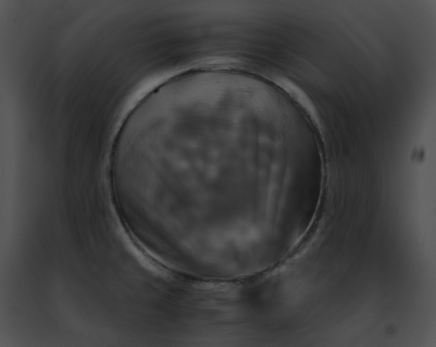 X0000091481429200708301905