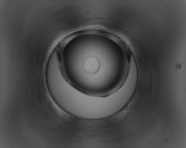 X0000091481430200708301905