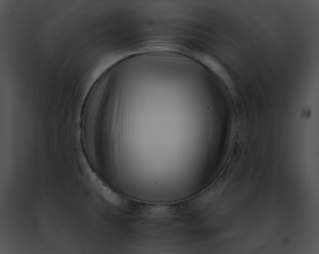 X0000091481431200708301905