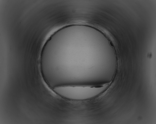 X0000091481432200708301905