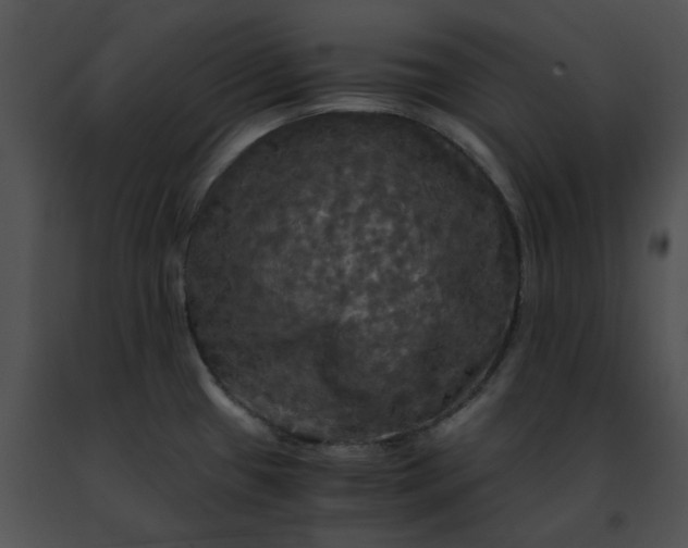 X0000091481433200708301905