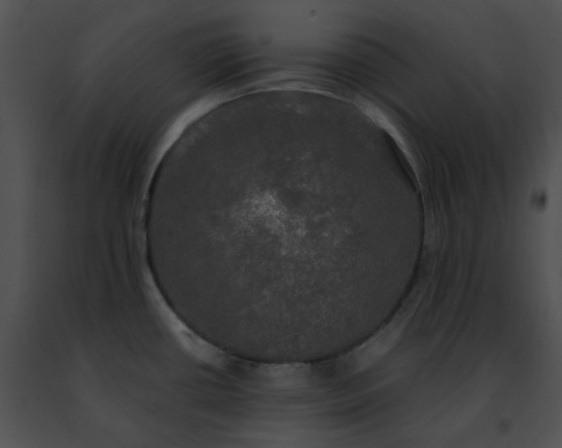 X0000091481434200708301905