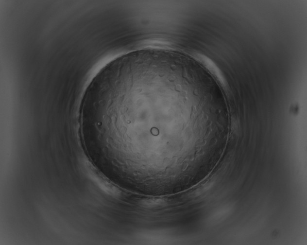 X0000091481435200708301905