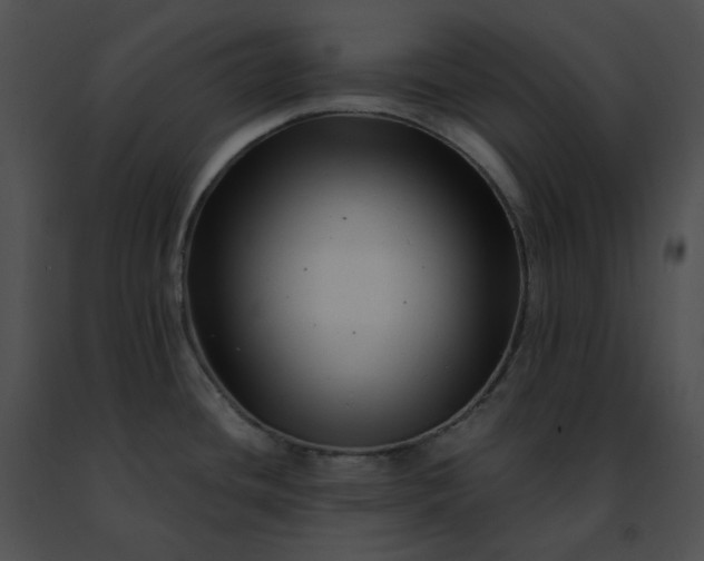 X0000091481436200708301905