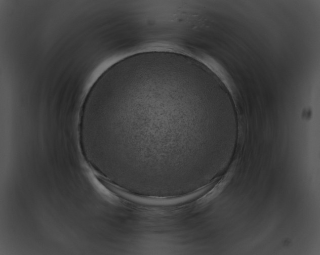 X0000091481438200708301905