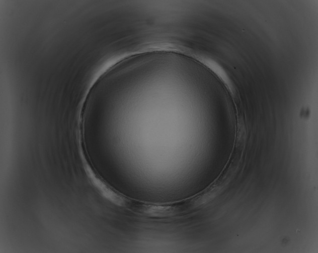 X0000091481439200708301905