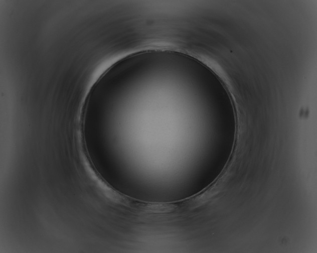 X0000091481440200708301905