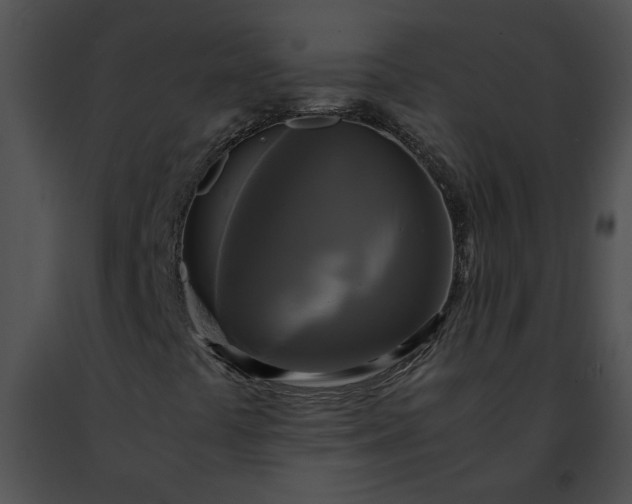 X0000091481441200708301904