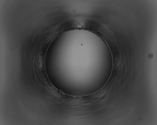 X0000091481442200708301904