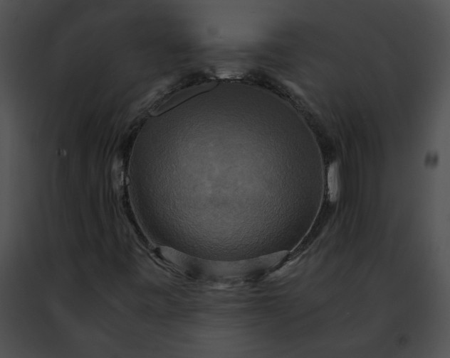 X0000091481443200708301904