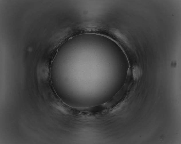 X0000091481444200708301904