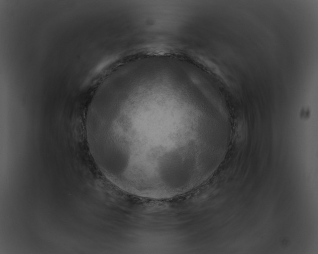 X0000091481446200708301904