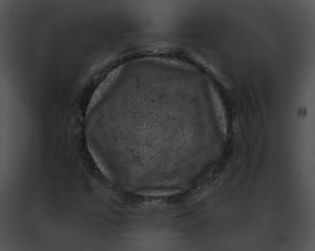 X0000091481447200708301904