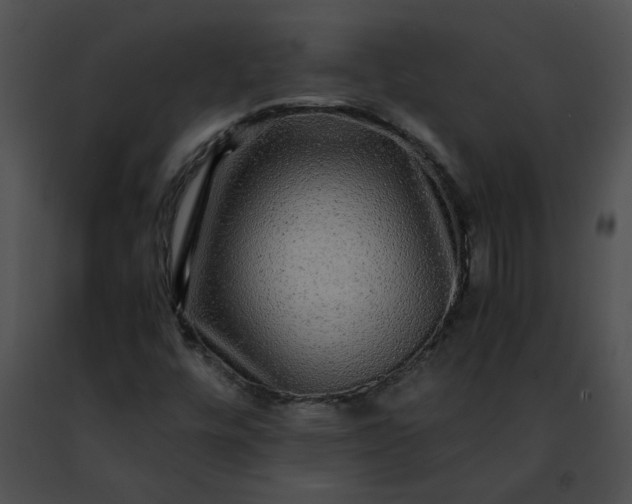 X0000091481448200708301904