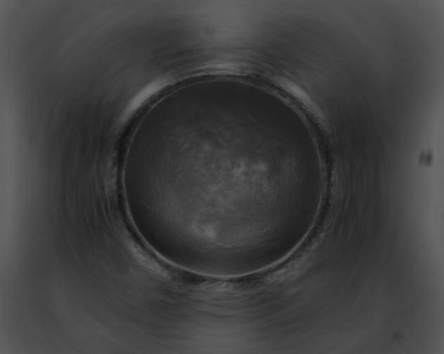 X0000091481450200708301904