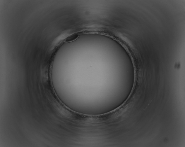 X0000091481451200708301904