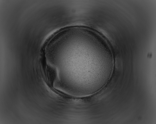 X0000091481452200708301904