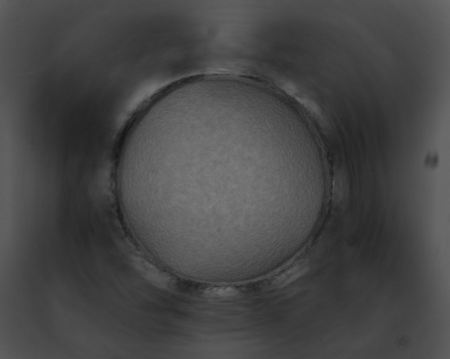 X0000091481454200708301904