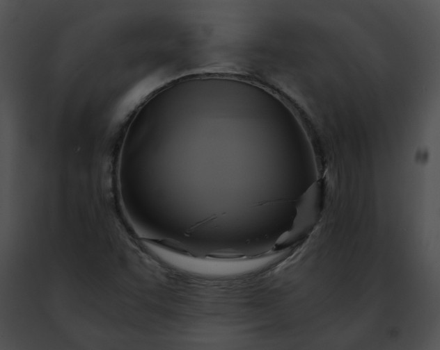 X0000091481455200708301904