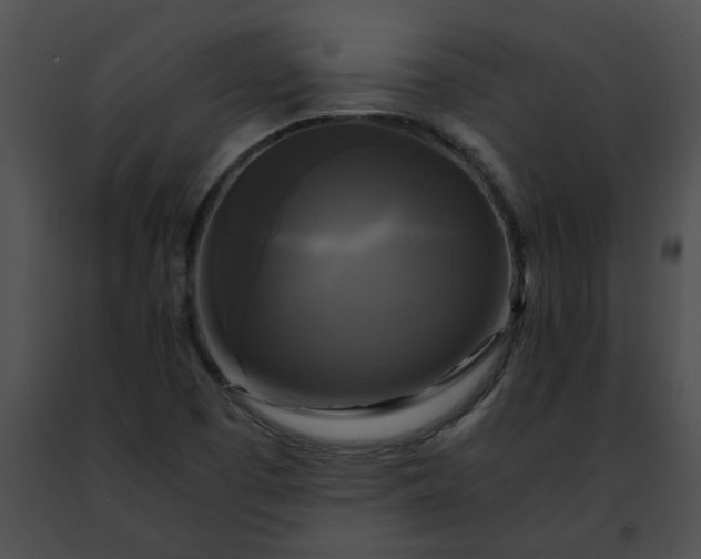 X0000091481457200708301904