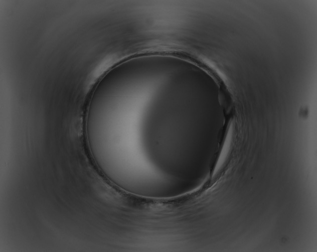 X0000091481459200708301904