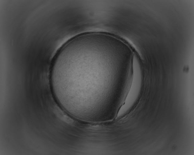 X0000091481460200708301904