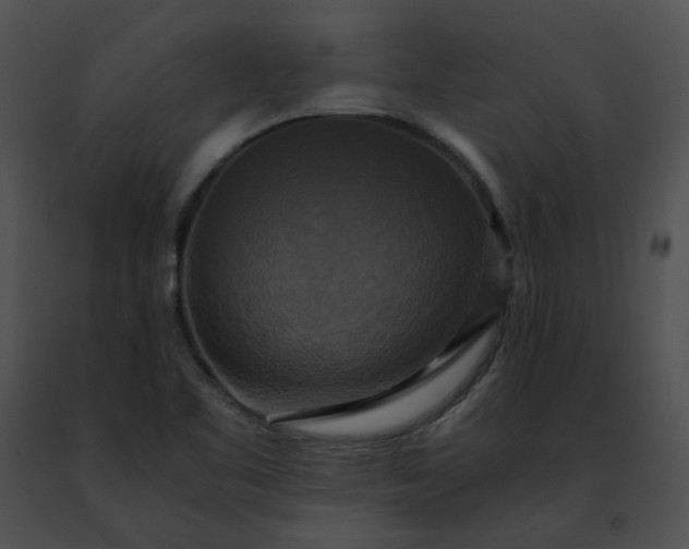 X0000091481461200708301904