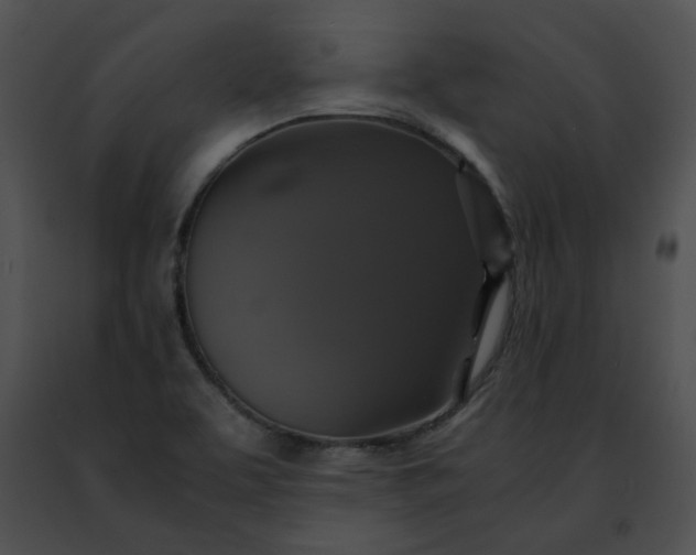 X0000091481463200708301904