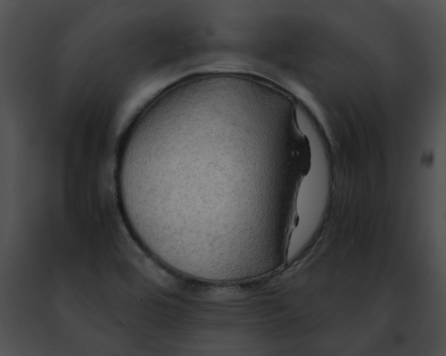 X0000091481464200708301904