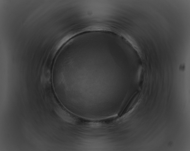 X0000091481465200708301904