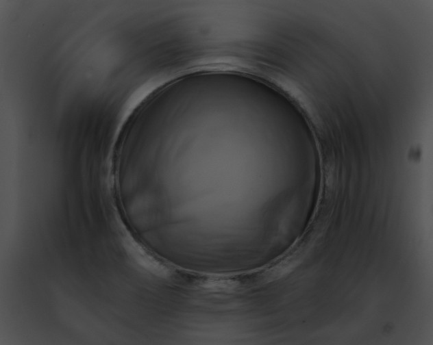 X0000091481466200708301904