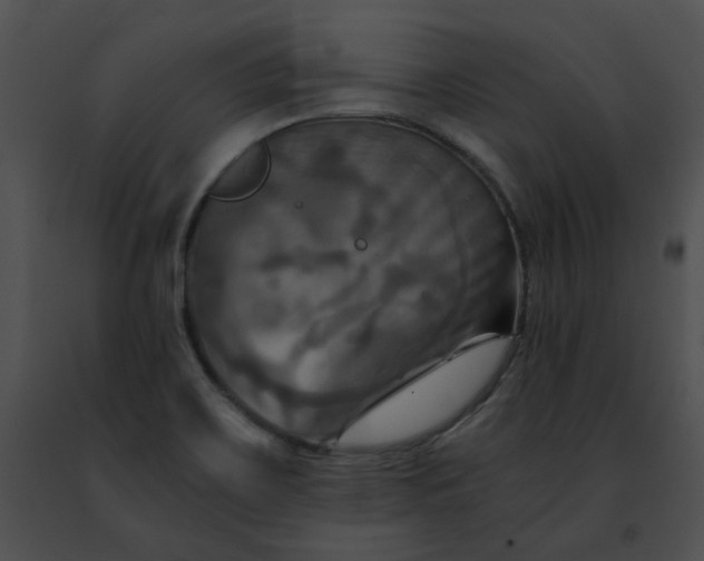 X0000091481467200708301904