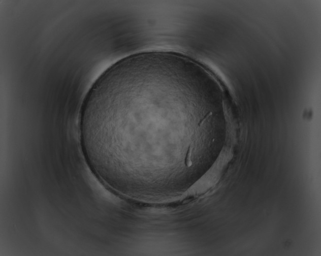 X0000091481468200708301904