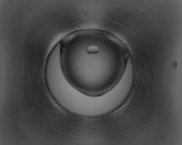 X0000091481469200708301904