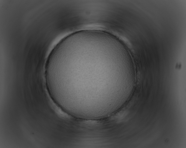 X0000091481470200708301904