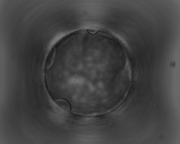 X0000091481471200708301904