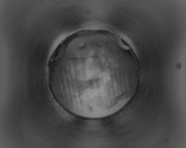 X0000091481472200708301904