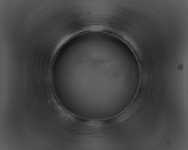 X0000091481473200708301904