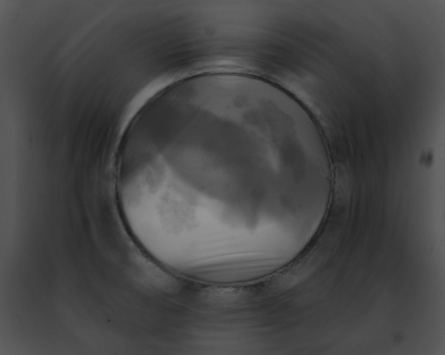 X0000091481474200708301904