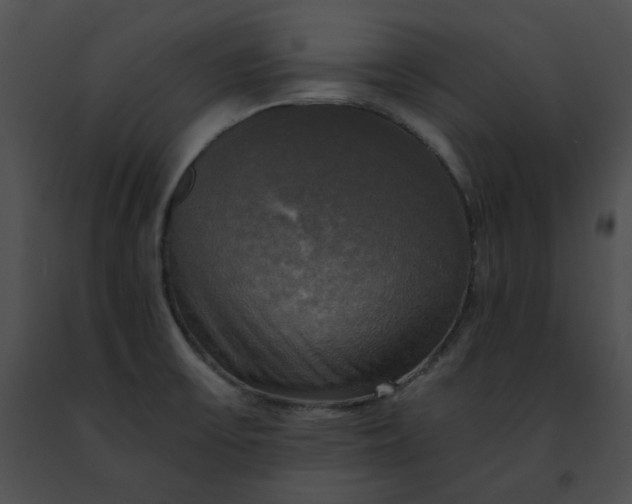 X0000091481475200708301904