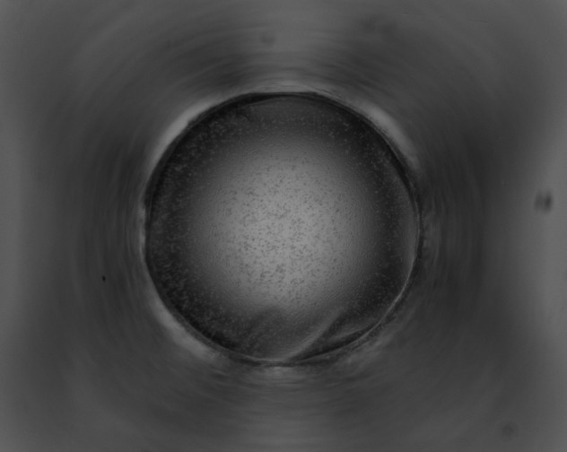 X0000091481476200708301904