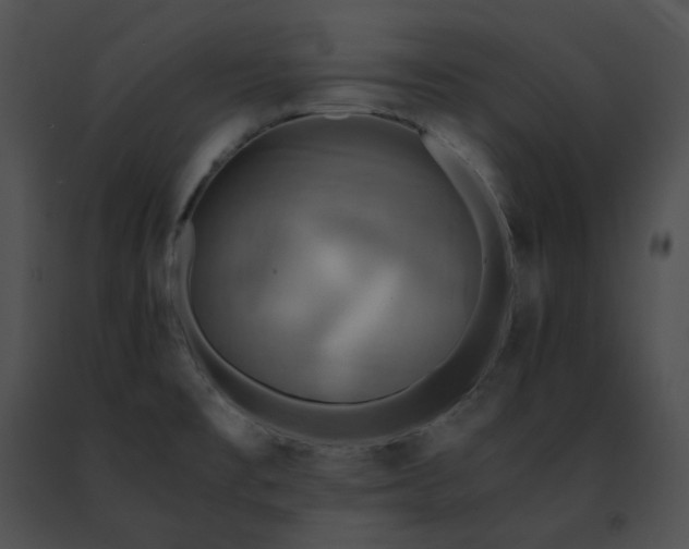 X0000091481477200708301904