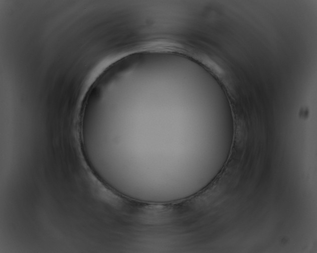 X0000091481478200708301904