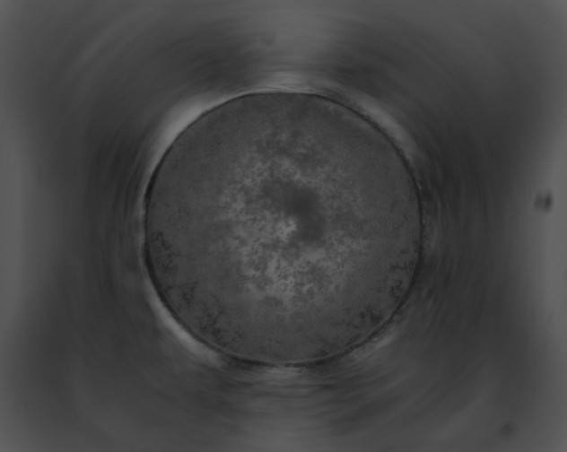 X0000091481479200708301904