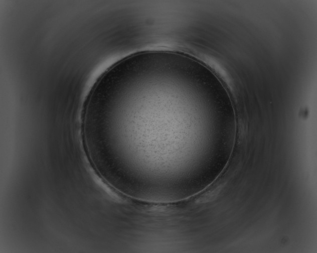 X0000091481480200708301904