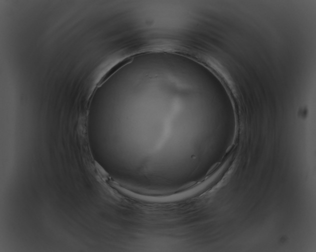 X0000091481481200708301904